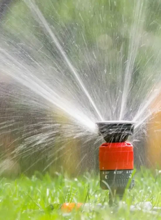 sprinkler sprinkler